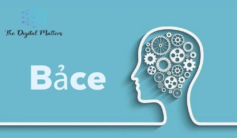 Bảce Unveiled The Cultural Significance and Rich History