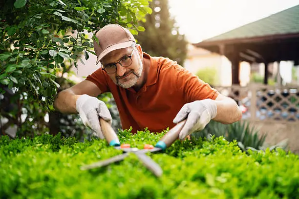 DIY Lawn Maintenance vs Professional Lawn Maintenance: What’s Worth It?